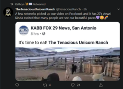 lockedtwitter47_alpaca.png