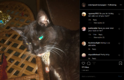 Instagram1212020_14.png