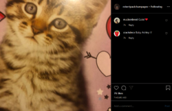Instagram1212020_12.png