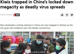 kiwis china.jpg