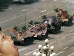 1580087405000.png