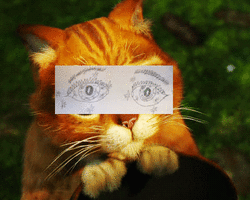 ezgif.com-gif-maker.gif