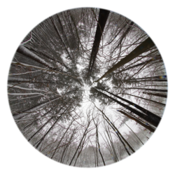 047A6CD3-B3E4-4273-8CEE-ACA269438D0A.png