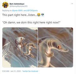peta tweets.png