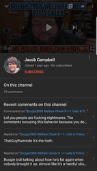 Screenshot_20200202-134720_YouTube.jpg