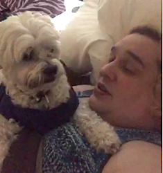 dog.png