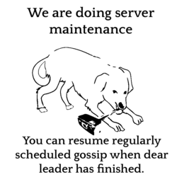 null permanance.png