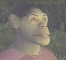 LeSGIFace.jpg