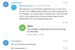 kintari_deletedalt_killingpuppies.png