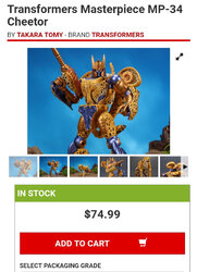 cheetor.jpg