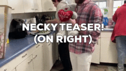NECKY teaser.gif