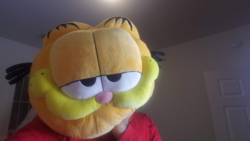 1582045143548.png