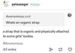 tumblr_prwy6x86bz1w83kov_540.jpg
