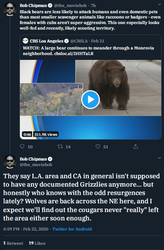 bob sperging.png