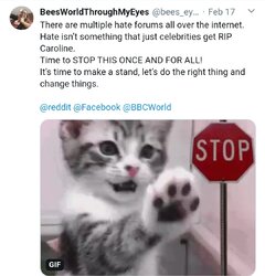 Screenshot_20200223-203028_Chrome.jpg