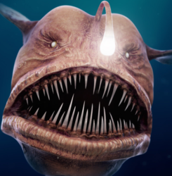 1582774758303.png