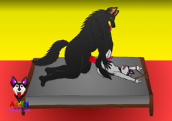 2583736_AspenAlabaster_aspen_meets_sebastian.png