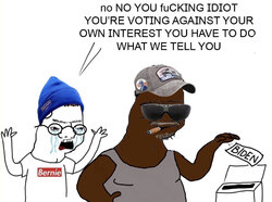 1583212026248.jpg