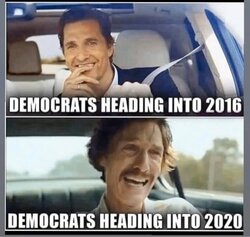 Democrats in 2016 v 2020.jpg