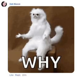 1583637631461.png