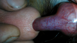 2.PNG