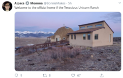 DomeHouseTweet.png
