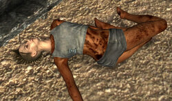 NV Glitch.jpg
