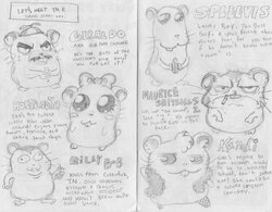 pg 2 and 3.jpg