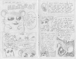 pg 4 and 5.jpg