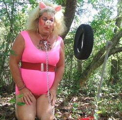 pig3.JPG