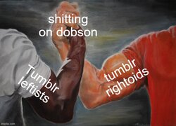 3t5xx4.jpg