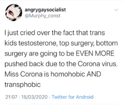 1584733727576.png