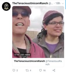 Screenshot_20200325-025643_Twitter.jpg