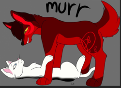 gay2.png