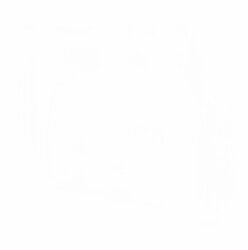 white square.jpeg