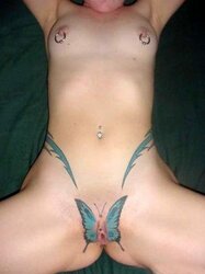 vatoo butterfly3.jpg
