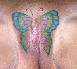 vatoo butterfly1.jpg