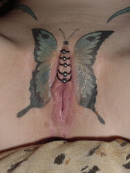 vatoo butterfly2.jpg