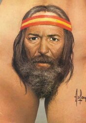vatoo pube beard.jpg