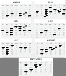 calendar of CoR calls.jpg