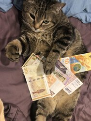 EdwardShowOffMoney2.jpg