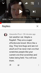 33E7C085-3C09-40EF-B8EA-0DA0EFEF5FA4.png
