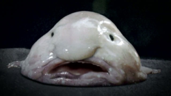 1586310964617.png