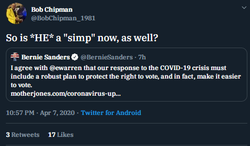bob simp.png