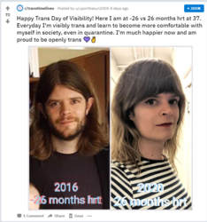 hormonesaremagic.PNG