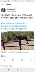 Screenshot_20200408-075810_Twitter.jpg