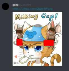 teDIKW7.png