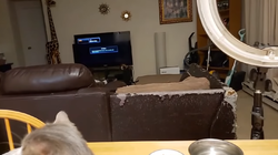 wreckedcouch.png