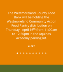 Screenshot_2020-04-10-09-43-56(1).png