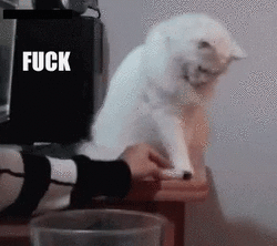 Fuck this this and this.gif